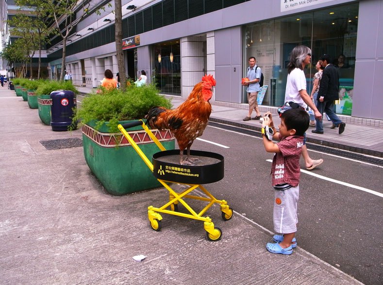 Best chicken road casino in Netherlands